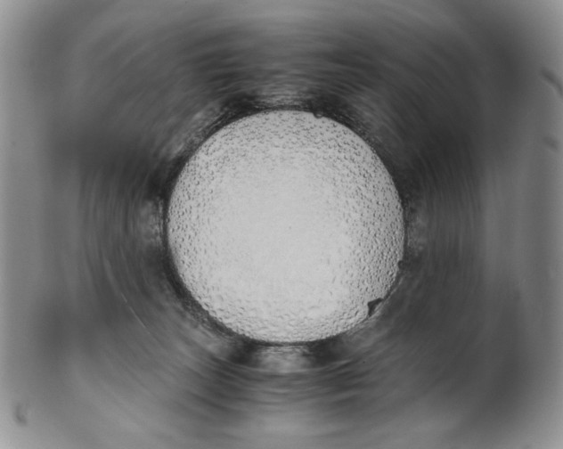 X0000100770179200807101800