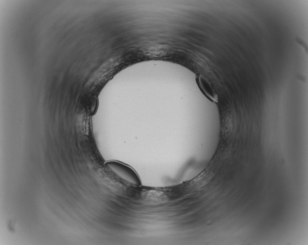 X0000100770180200807101800