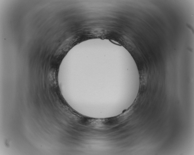 X0000100770182200807101800