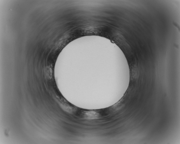 X0000100770183200807101800