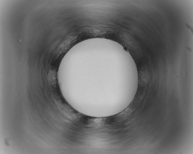 X0000100770184200807101800