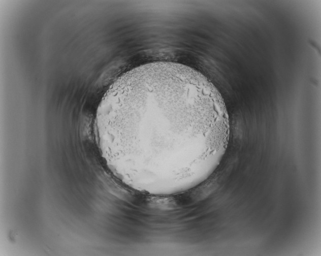X0000100770185200807101800