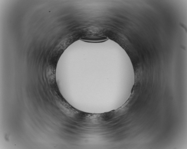 X0000100770186200807101800