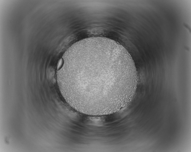 X0000100770187200807101800