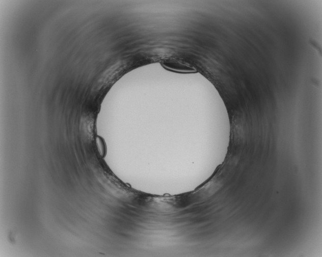 X0000100770188200807101800