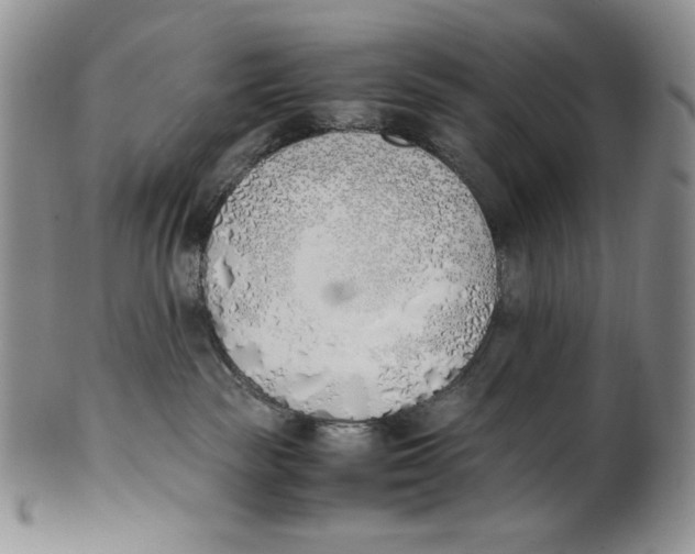 X0000100770189200807101800