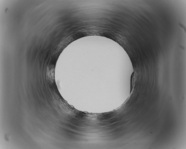 X0000100770190200807101800