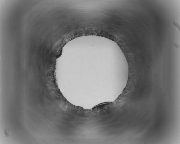 X0000100770192200807101801