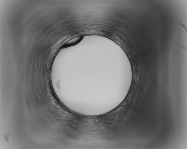 X0000100770193200807101800