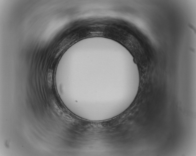 X0000100770194200807101800