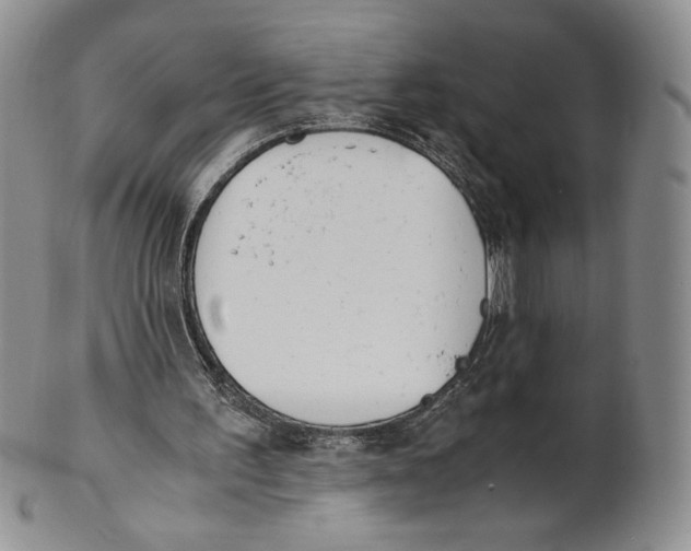 X0000100770195200807101800