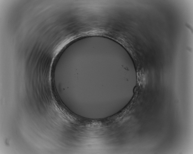 X0000100770196200807101800