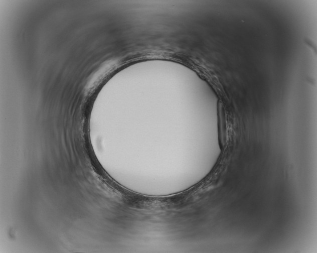 X0000100770197200807101800