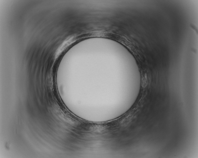 X0000100770198200807101800