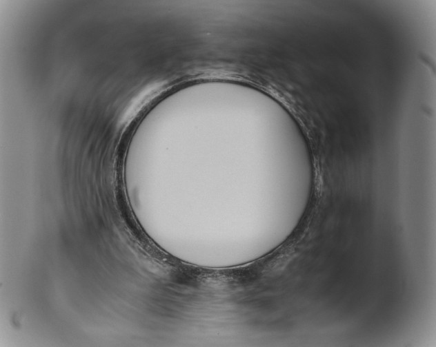 X0000100770199200807101800