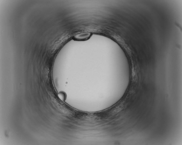 X0000100770201200807101800