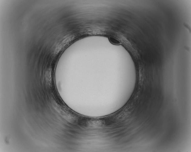 X0000100770202200807101800