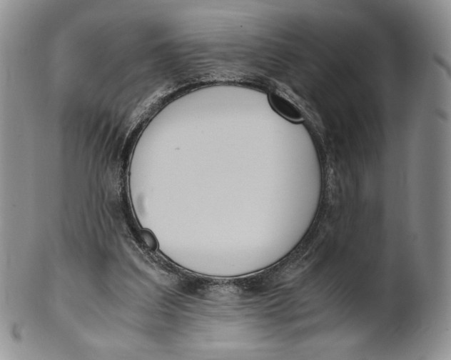 X0000100770203200807101800
