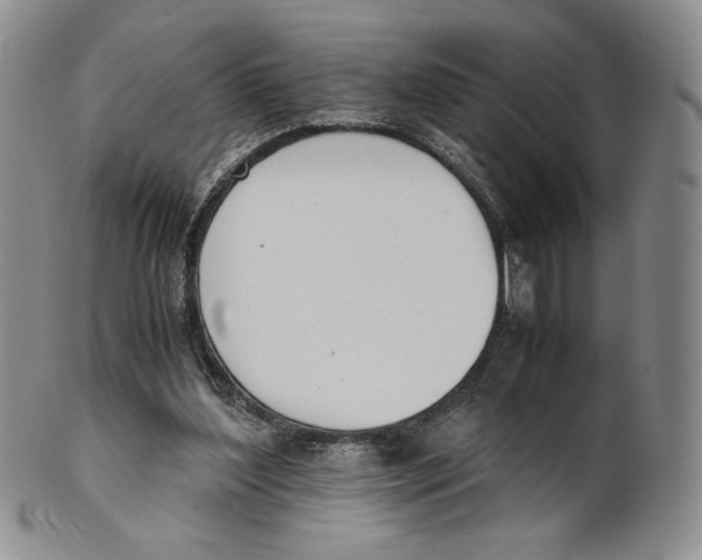 X0000100770204200807101800