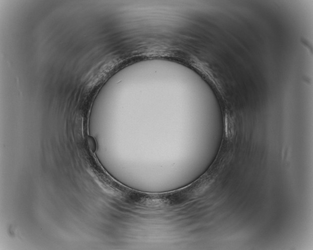 X0000100770205200807101800