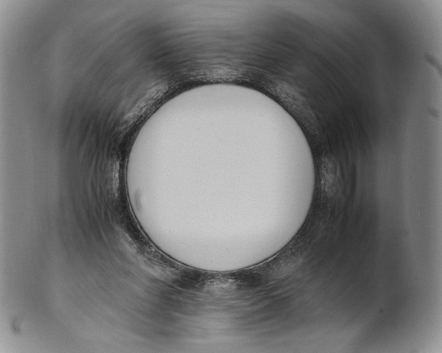 X0000100770206200807101800