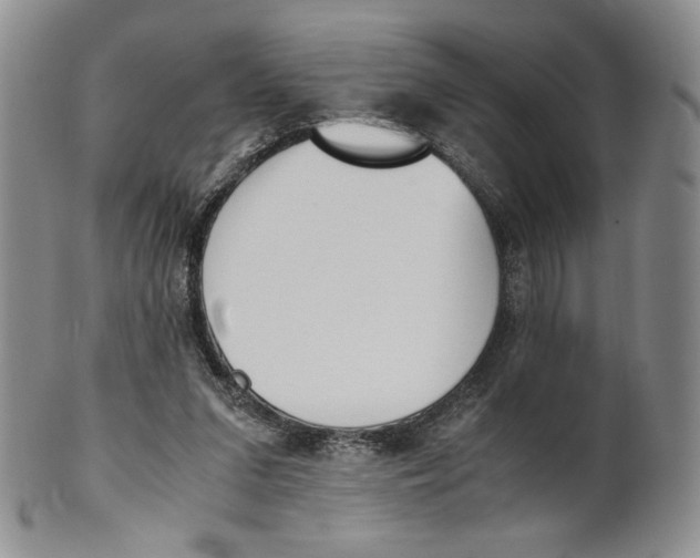 X0000100770207200807101800