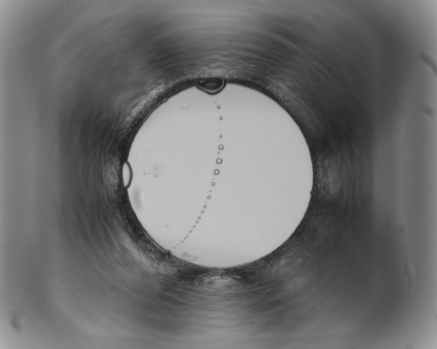 X0000100770208200807101800