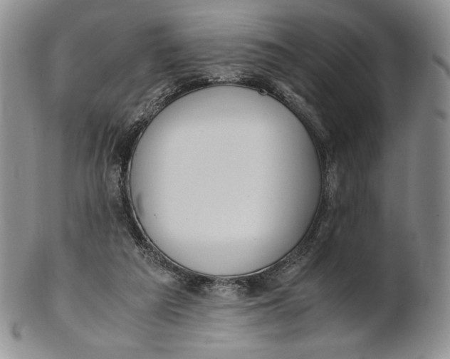 X0000100770209200807101800