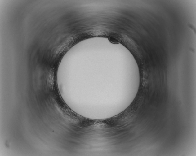 X0000100770210200807101800