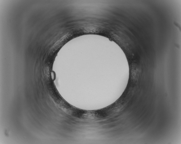 X0000100770211200807101759