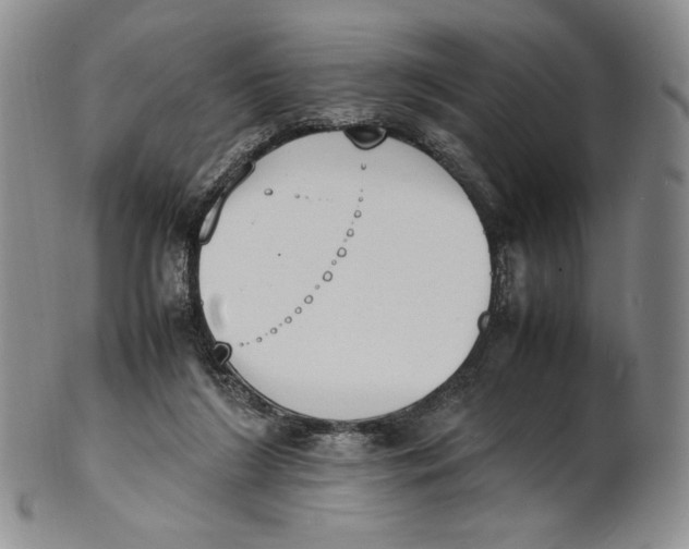 X0000100770212200807101759