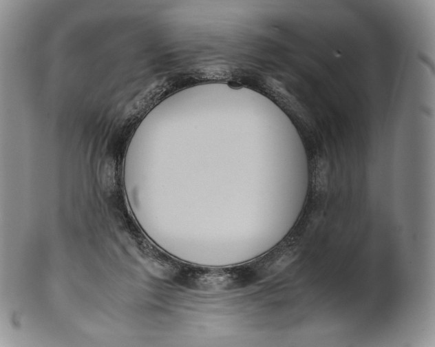 X0000100770213200807101759