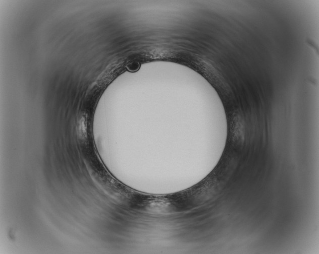 X0000100770214200807101759