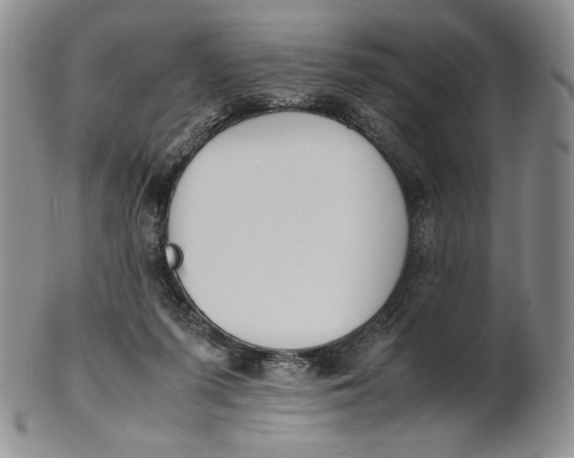 X0000100770215200807101759