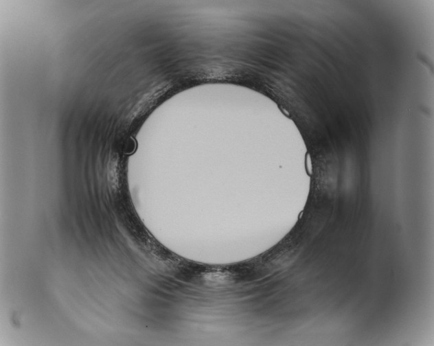 X0000100770216200807101759