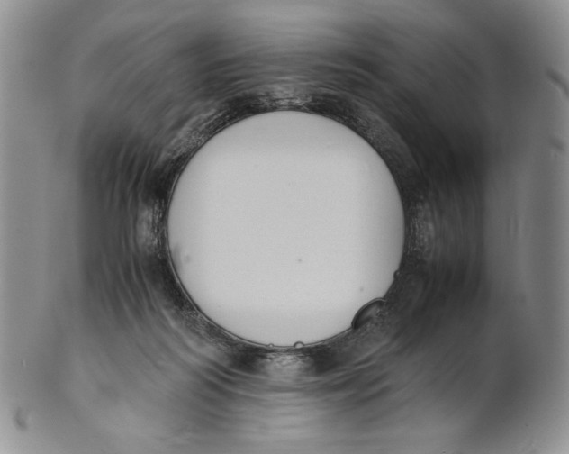 X0000100770218200807101759