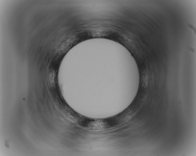 X0000100770219200807101759