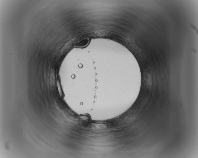 X0000100770220200807101759