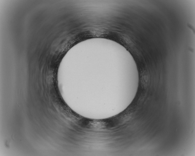 X0000100770221200807101759
