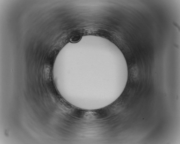 X0000100770222200807101759