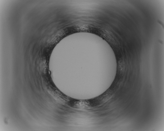 X0000100770223200807101759