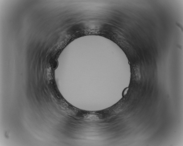 X0000100770224200807101759