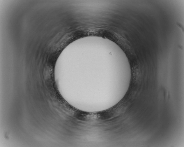 X0000100770225200807101759