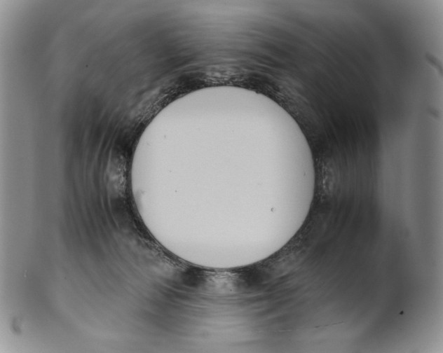 X0000100770226200807101759