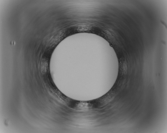 X0000100770227200807101759