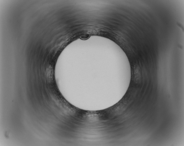 X0000100770228200807101759