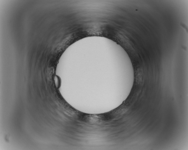 X0000100770229200807101759