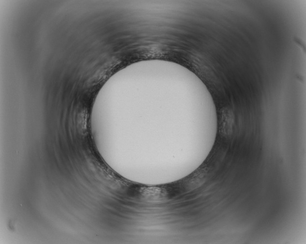 X0000100770230200807101759