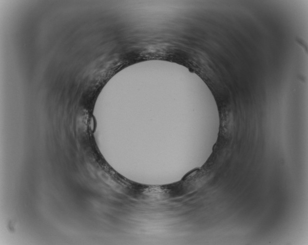 X0000100770231200807101759
