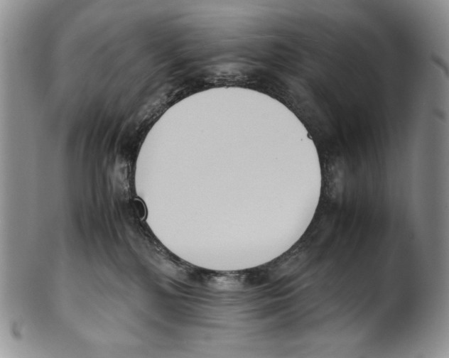 X0000100770232200807101759